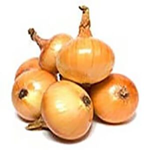 بذر پیاز